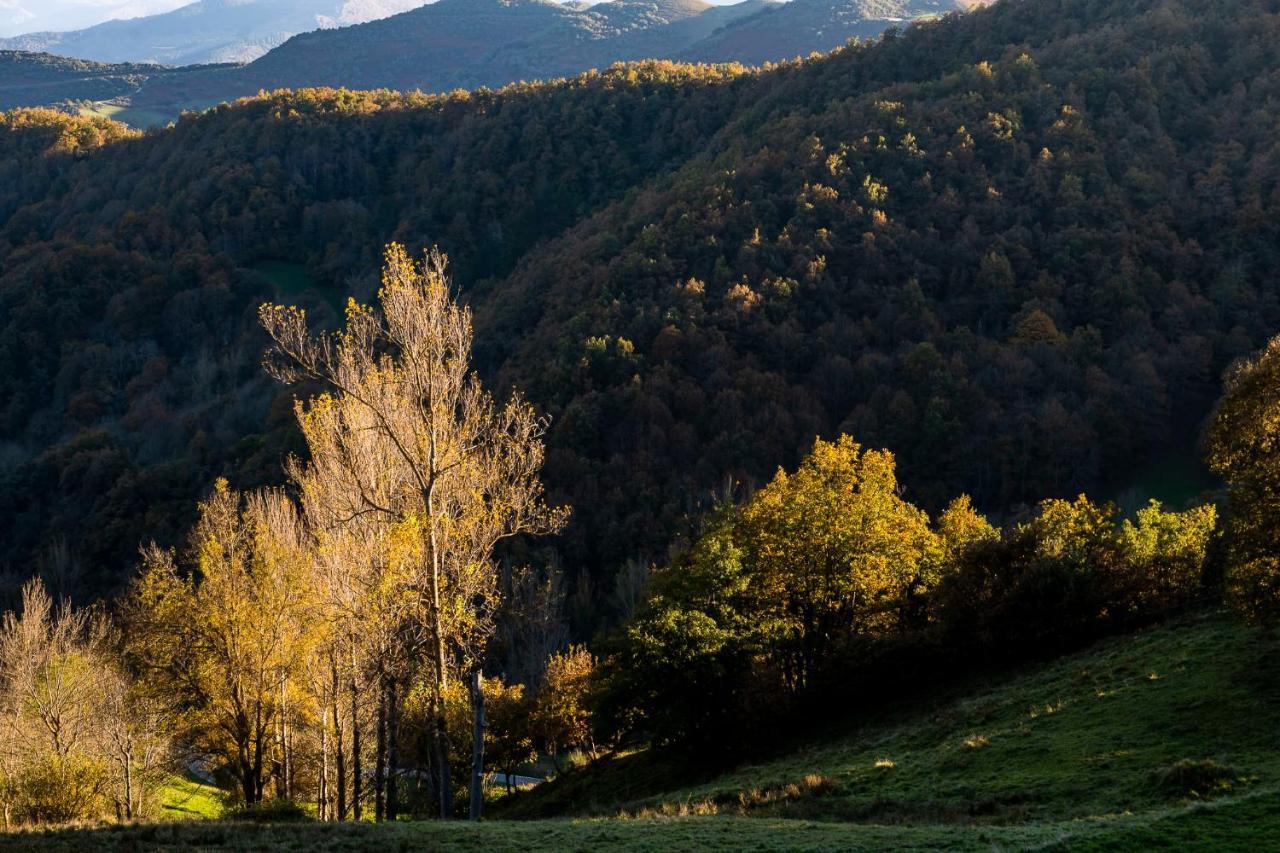 Apartamentos Los Picos De Europa Colio Kültér fotó